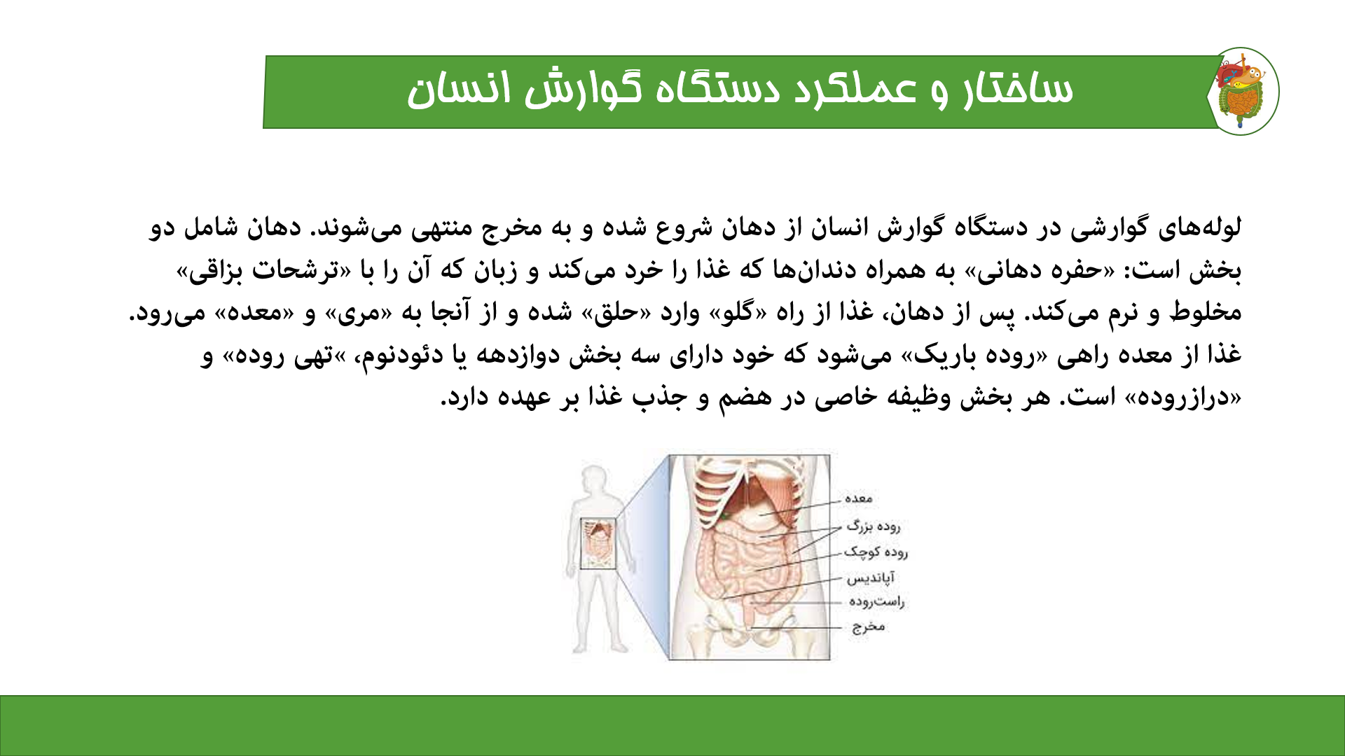 پاورپوینت در مورد دستگاه گوارش 